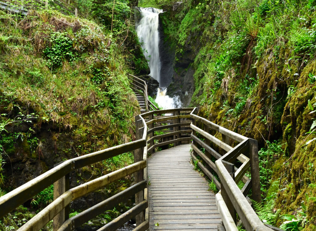 Glenariff Forest Park walking idea