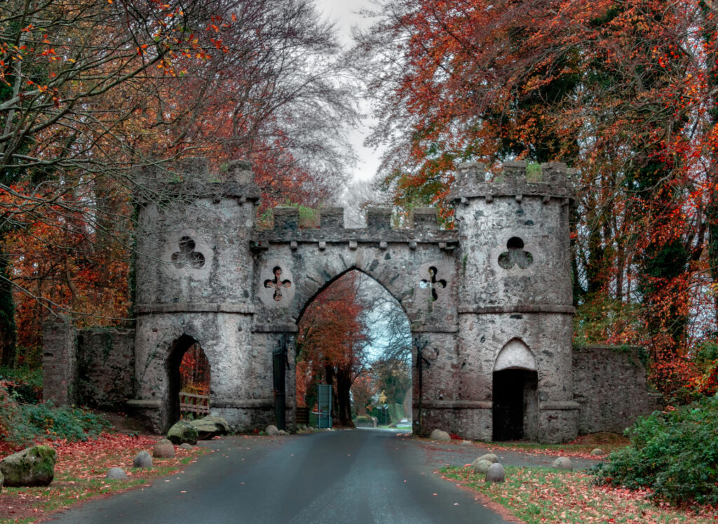 Tollymore Forest Park in Autumn